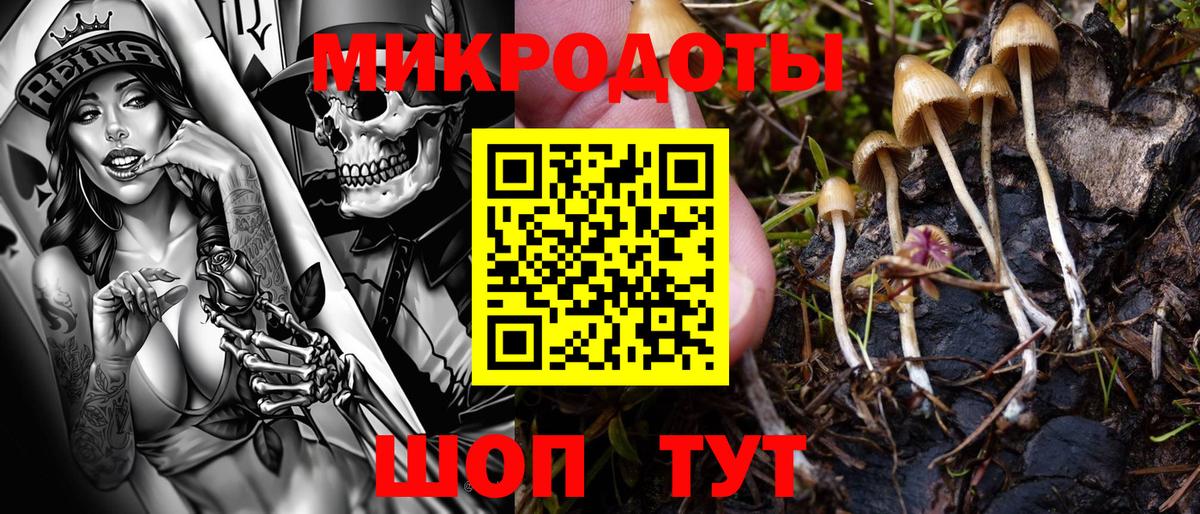 Галлюциногенные грибы прущие грибы Анапа