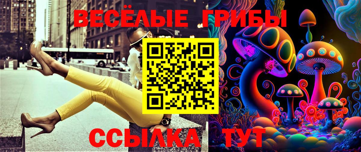Псилоцибиновые грибы MAGIC MUSHROOMS  Вход с VPN  Анапа 